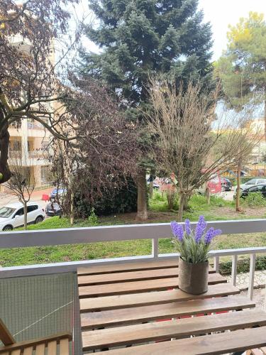 allegro alsos apartment
