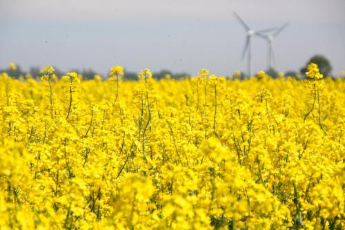 Φυσικό τοπίο κοντά σε αυτό το διαμέρισμα