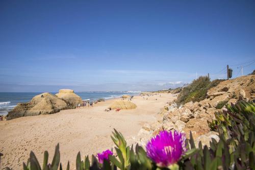 una playa con algunas rocas y flores púrpuras en Villa Magali, en Patroves