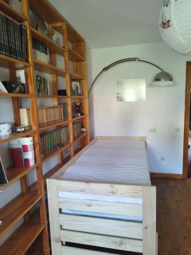 a bedroom with a bed and book shelves at Casa Marco in Gistaín