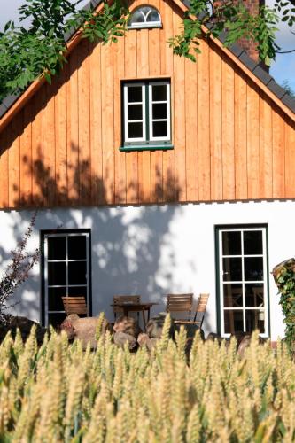 a house with two windows and a table in front of it at Großer Feldblick in Hinrichsdorf
