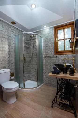 a bathroom with a shower and a toilet and a sink at Old Nest House in Sálakos