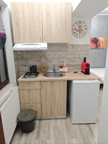 Η κουζίνα ή μικρή κουζίνα στο Stay In Tmisoara