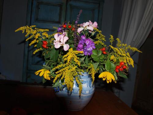 a blue and white vase filled with flowers on a table at Natur erleben und Ruhe genießen in Neuentempel