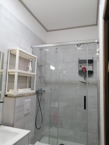 une douche avec une porte vitrée dans une salle de bain dans l'établissement Cozy and equipped outbuilding in Schiltigheim, à Schiltigheim