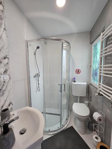 a bathroom with a shower and a toilet and a sink at Vila Kalibu 3 in Iaşi