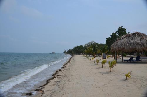 a beach with chairs and umbrellas and the ocean at Mariposa Belize Beach Resort in Placencia Village
