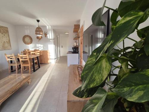 Oasis Home