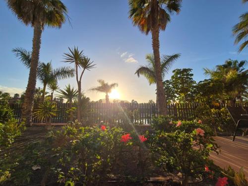 Oasis Home