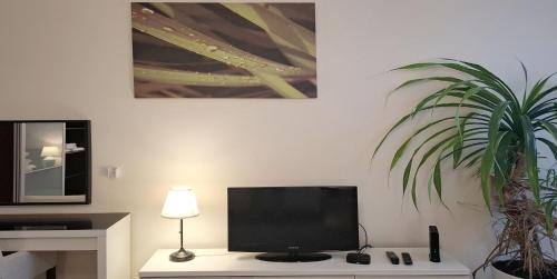 4 bedrooms 4 bathrooms luxury in Budapest centre