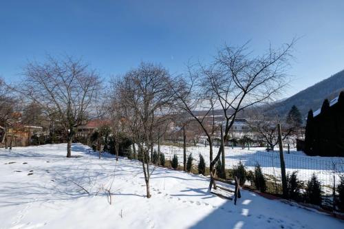 a snow covered field with trees and a fence at Florian's Haus in Cisnadioara