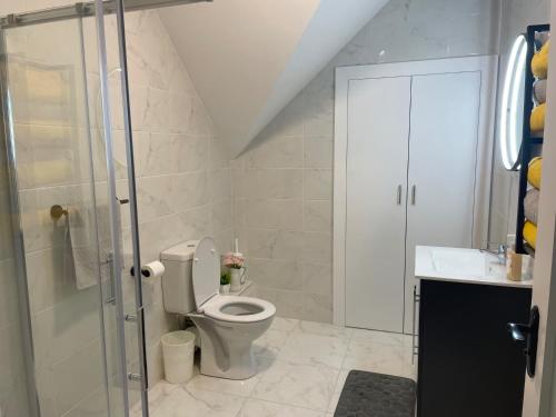 a bathroom with a toilet and a shower and a sink at Spacious 5Br Home - Country View - Close to Galway in Belclare