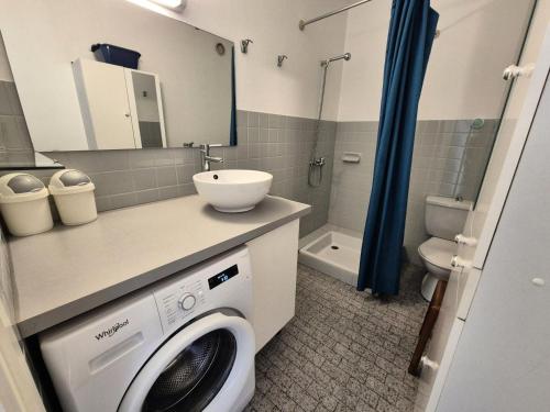 une salle de bain avec une machine à laver et un lavabo dans l'établissement Résidence Le Chateau Durieux 2 - Agréable logement rénové ! MAE-7374, à Aix-les-Bains