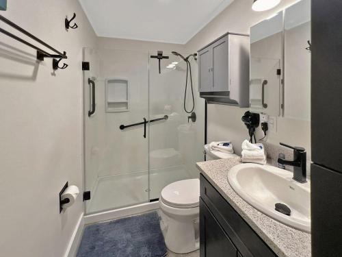 a bathroom with a shower and a toilet and a sink at Gateway Condo A10 in Mendon