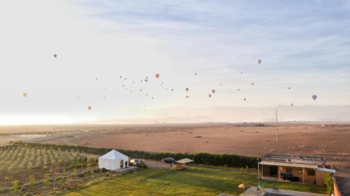 a bunch of kites flying in the sky over a field at Getaway between nature and adventure in Marrakech