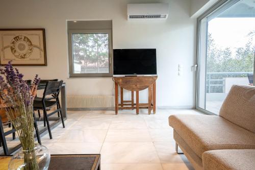 a living room with a couch and a tv at Athenian Riviera Seafront Residence in Saronida