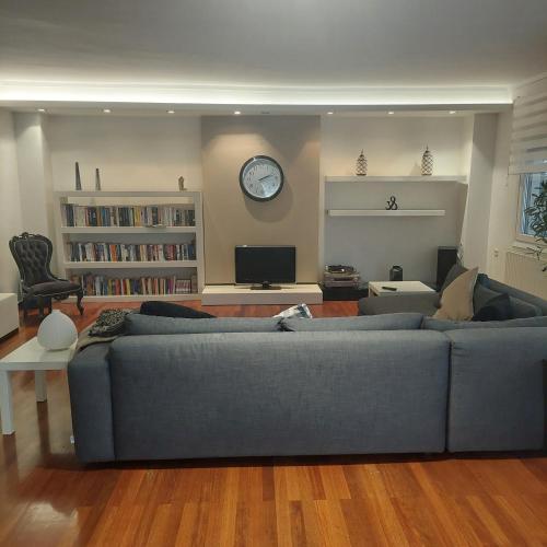 Luxury family house