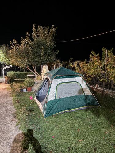 a tent sitting on the grass in a yard at Parking& Campsite Bakiaj in Tepelenë