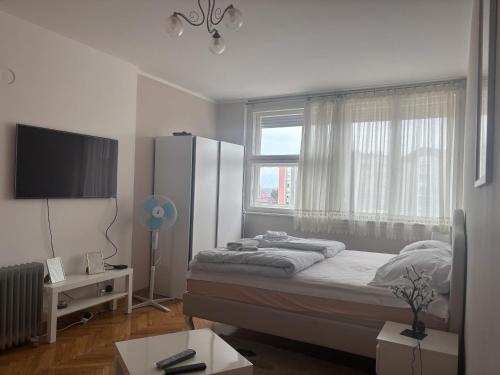 a small bedroom with a bed and a window at Red Square Apartment in Pirot