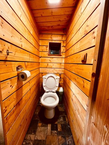 a bathroom with a toilet in a wooden cabin at Horská Bouda v Obřím Dole in Pec pod Snezkou