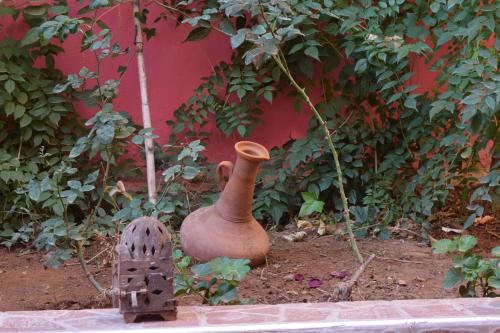 a vase and a cat statue in a garden at Maison Marrakech in Touggana