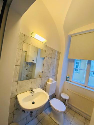 a bathroom with a white toilet and a sink at Wohnung, 2 Schlafzimmer, Innenhof in Graz