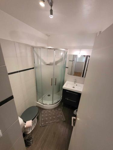 a bathroom with a glass shower and a sink at Maison, 5 Chambres équipées, tout confort , fibre in Ouzouer-sur-Loire