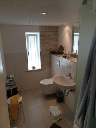 a bathroom with a white toilet and a sink at Feriendomizil "Anker" H 2 in Trent