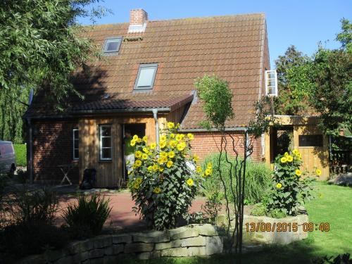 a brick house with yellow flowers in the yard at "Lütt Huus" in Ostermarkelsdorf