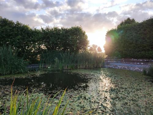 a pond with the sun setting in the background at Ferienhaus Bliev-Hee Nr 4 in Klink