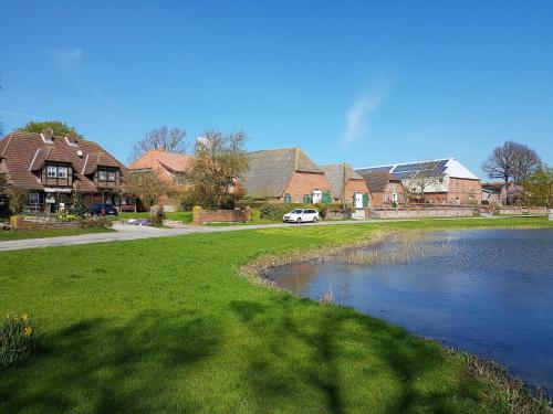 a house with a pond in front of a house at Ferienhaus Lichtblick am Teich in Kopendorf