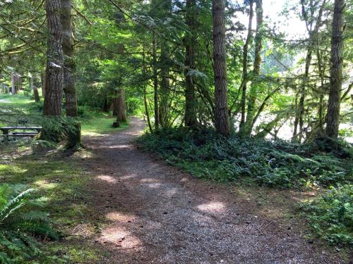 a path in the woods with a bench on the side at Snowater Condo 6 - Fireplace - Kitchen - Sleeps 5 in Glacier