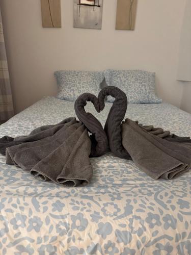 Studio 2 bords de Loire