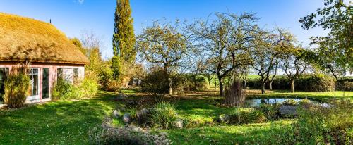 Κήπος έξω από το Hof Garz Wohnung Rosengarten