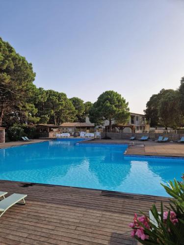 une grande piscine bleue avec des chaises et des arbres dans l'établissement Les Villas de Fiori Di Cala Rossa, à Lecci