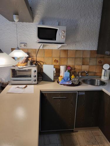 a kitchen with a sink and a microwave at Appartment 025 in Tossens in Tossenserdeich