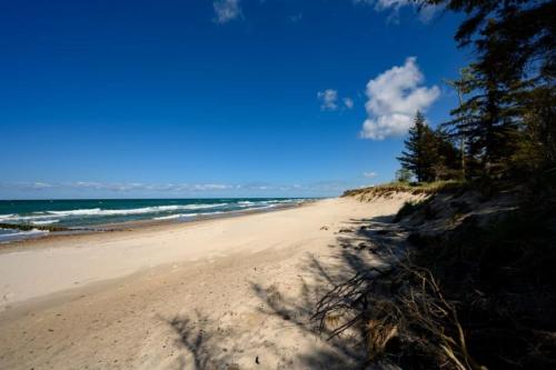 a sandy beach with trees and the ocean at Aster in Graal-Müritz
