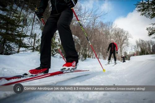 Ski di chalet atau berdekatan