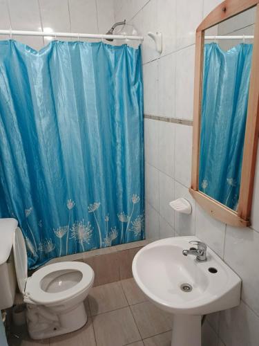 a bathroom with a toilet and a sink and a shower curtain at Hostel Downtown Las Morenas in Buenos Aires