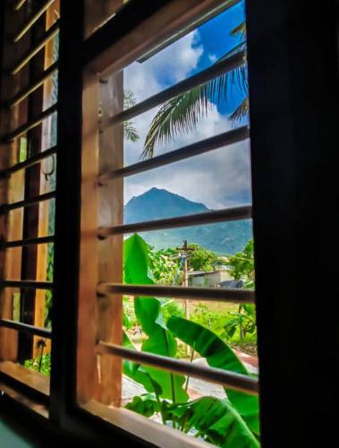 a window with a view of a palm tree at NAKSHATHRA Guest House 2BHK in Tiruvannāmalai