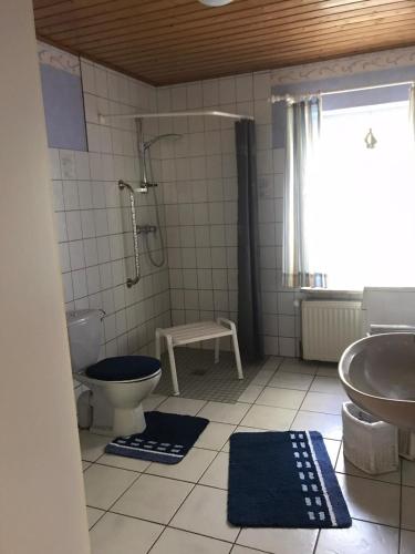 a bathroom with a toilet and a shower and a sink at Ferienhaus auf dem Hof in Wanna