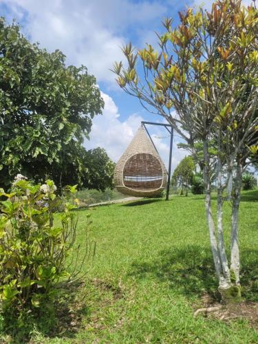 Gallery image of Ecohotel Guaduales Nature in Pereira