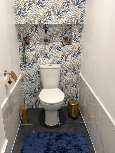 a toilet in a bathroom with a blue and white wallpaper at CYRUS H-Housse cœur de ville in Pointe-à-Pitre