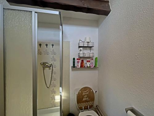 une petite salle de bain avec toilettes et douche dans l'établissement Appartement lumineux avec mezzanine, terrasse et coin cabine - FR-1-475-180, à Saintes-Maries-de-la-Mer