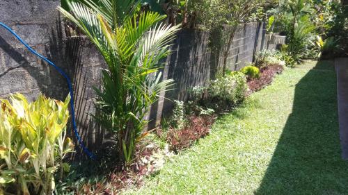 a garden with a fence and some plants at King Elephant, Homestay Pinnawala in Rambukkana