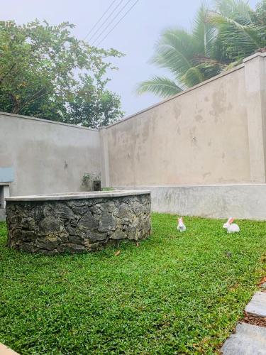 two birds walking in the grass next to a wall at Nelumbo Villa 42 - oasis of relaxations in Uragasmanhandiya