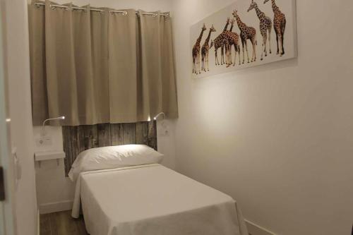 Hostal royal begoña