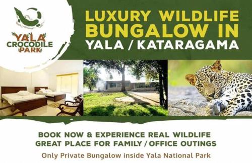 a flyer for a book about a leopard in a park at Crocodile park Bungalow in Kataragama