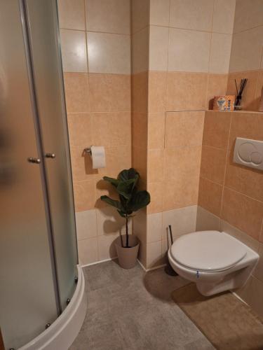 A bathroom at Apartman s terasou