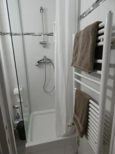 une salle de bain avec une douche avec un rideau de douche dans l'établissement Beau F3 proche hôpital central, Nancy thermal, à Nancy